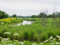 IMGP0274